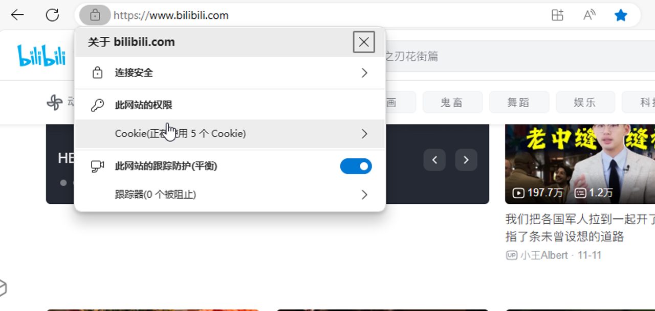 PotPlayer播放b站畅看4k视频