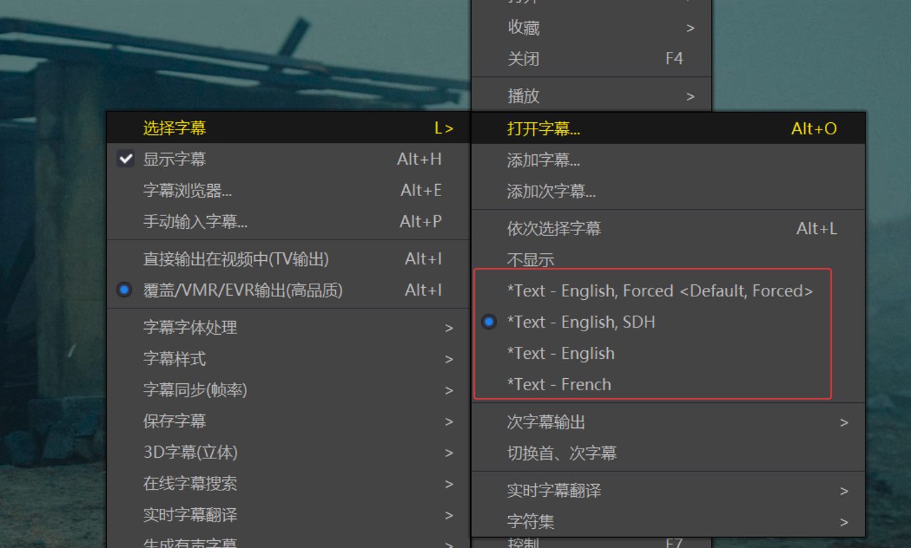 PotPlayer 实时字幕翻译教程